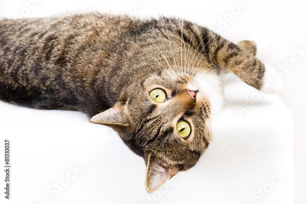 Fototapeta wohlfühlzone