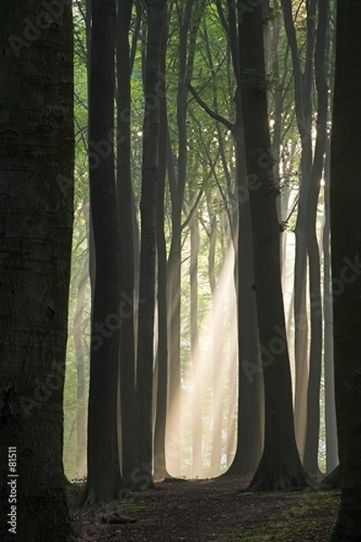 Obraz light at the end of tunnel