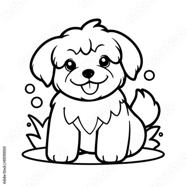 Fototapeta Cute vector illustration Havanese for kids colouring page