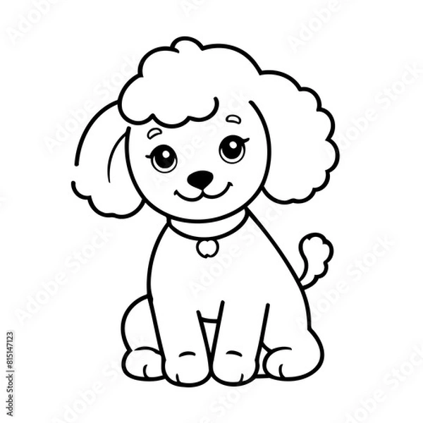 Fototapeta Vector illustration of a cute Poodle doodle colouring activity for kids