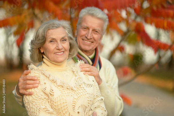 Obraz  Senior couple in autumn park