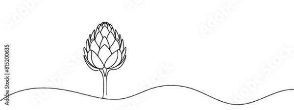 Obraz Vector isolated one artichoke flower colorless black and white contour line drawing