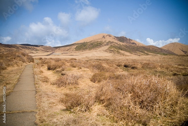 Obraz Steppe in Japan