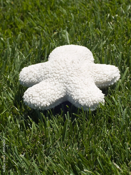 Obraz Blank Stuffed Toy with Copy Space. 