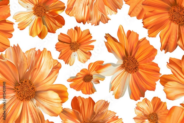 Obraz seamless floral pattern