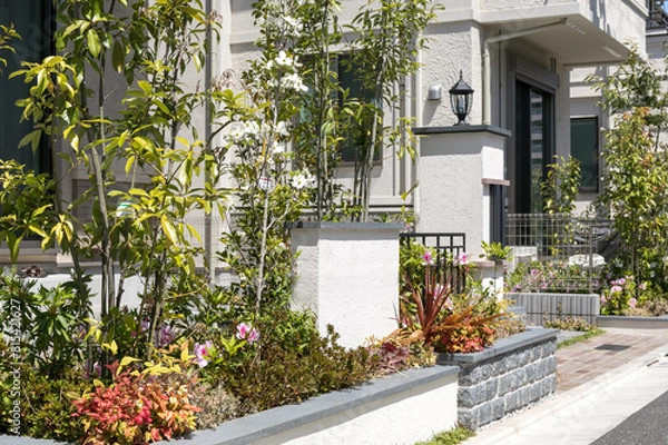 Fototapeta 日本の一般的な一戸建て住宅の外構・植栽