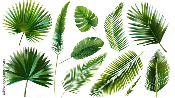 Obraz Set of palm tree leaves, showcasing their iconic fan or feather-like shape, perfect for tropical landscapes