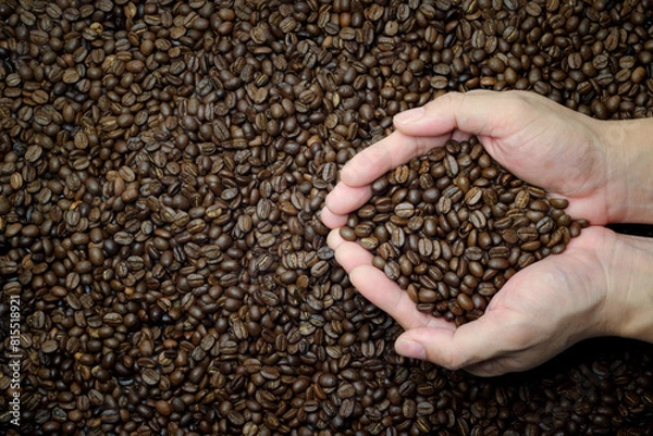 Fototapeta hands holding a coffee beans top view with coffee beans as background, conceptual image