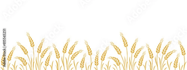 Obraz wheat, oat, rye seamless food stripe with stalks