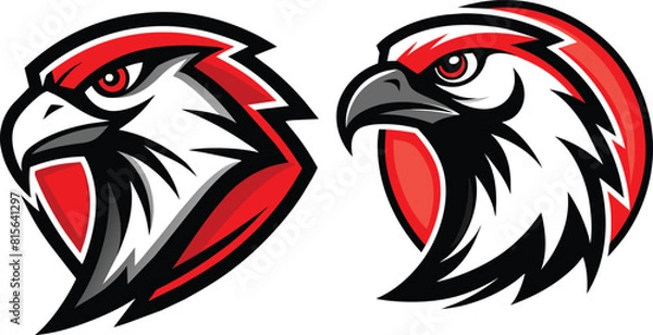 Obraz falcon vector illustration