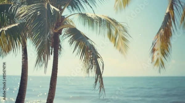 Fototapeta Minimalist, seaside, coconut trees, sunny, advanced tone, soft color,