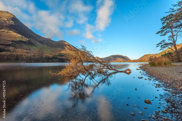 Fototapeta Fallen tree in Buttermere in The Lake District, England