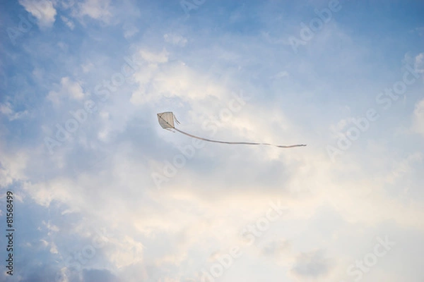 Obraz Kite flying high in the wind.