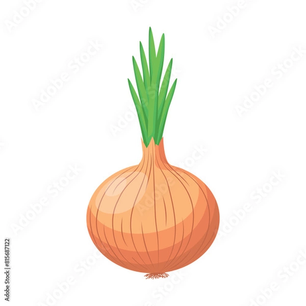 Fototapeta Onion in flat style isolated on white background. Vector illustration