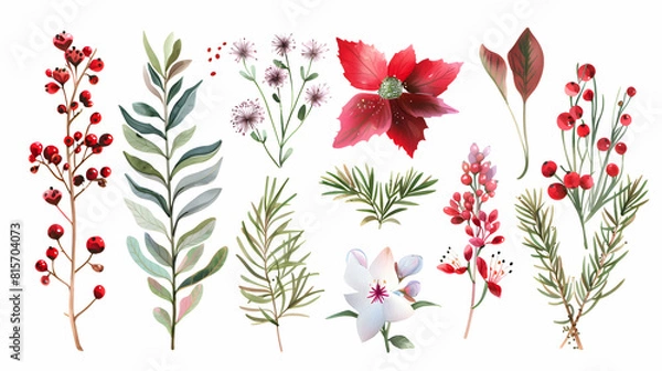 Obraz winter flowers, leaves, isolated on white background.generative Ai