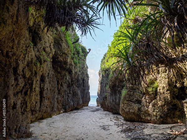 Obraz 沖縄県本部町備瀬のワルミ