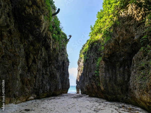 Obraz 沖縄県本部町備瀬のワルミ