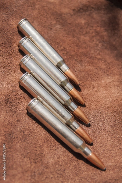 Fototapeta Ammunition