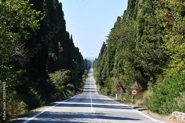 Obraz Il viale dei Cipressi che dall'Oratorio di San guido (sulla via Aurelia) conduce a Bolgheri  ombreggiato da entrami i lati  da una fila fittissima di cipressi 