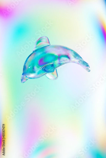 Fototapeta 偏光板を使用してイルカの雑貨を撮影.
