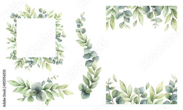 Fototapeta Eucalyptus leaves and greenery borders set.  Watercolor green leaves and branches. C for invitations, greeting cards, save the date, albums. Hand drawn illustration.