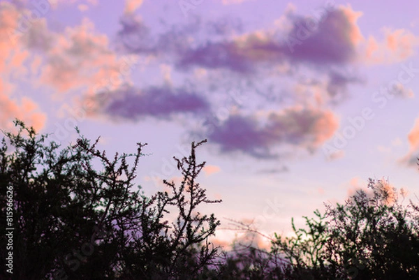 Obraz Sky during sunset with clouds painted in pink and lilac