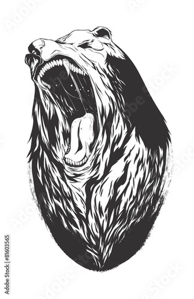 Fototapeta Vector illustration with bear head