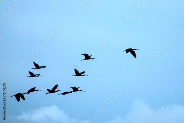Fototapeta bellezza della natura vicino Roma, beautiful nature near Rome