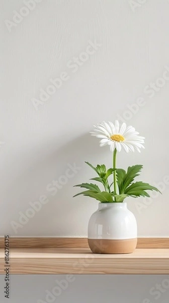 Fototapeta Daisy background with copy space.