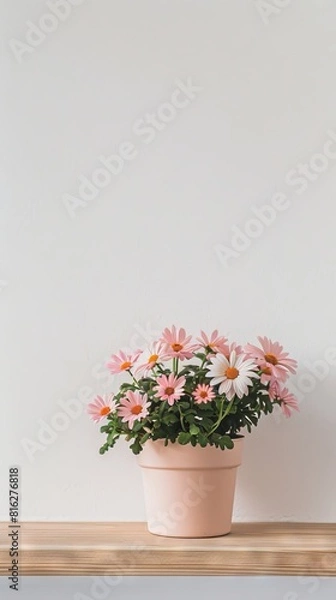 Fototapeta Daisy background with copy space.