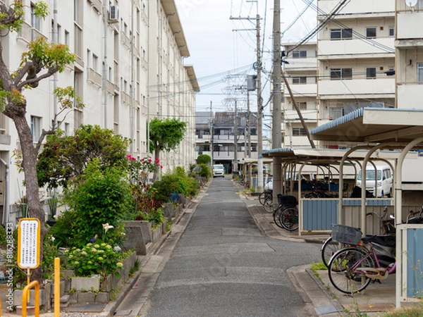Fototapeta 古い団地が並ぶ通りの風景