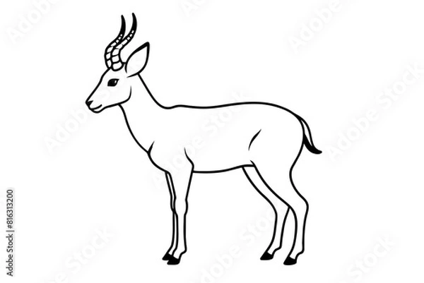 Fototapeta pronghorn vector silhouette illustration
