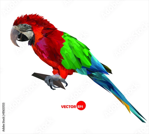 Fototapeta large bird, colorful parrot macaw sitting on a brunch