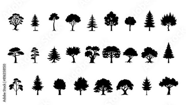 Obraz Set of tree silhouette vector illustration