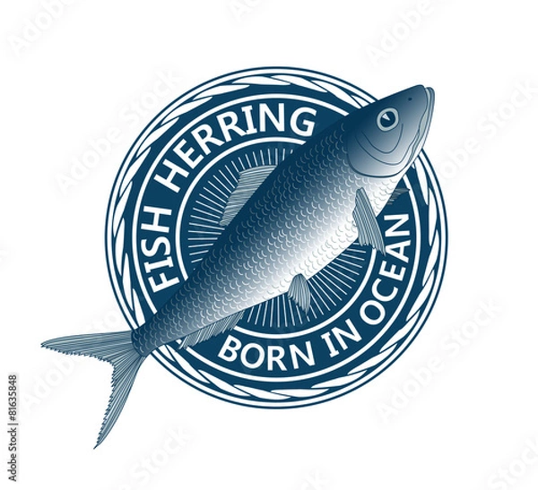 Obraz blue fish herring