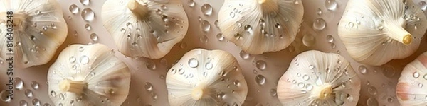 Fototapeta Fresh garlic cloves just washed with drops of water on them and a simple background. 