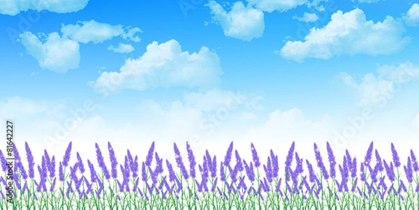 Fototapeta ラベンダー　ハーブ　背景