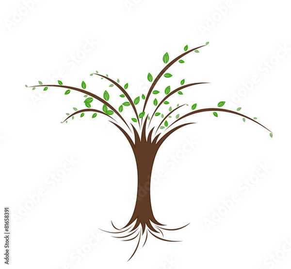 Fototapeta Green Tree Vector Design
