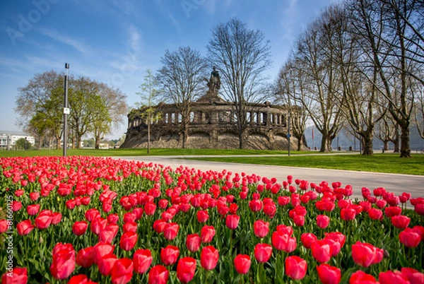 Obraz Tulpenmeer am Deutschen Eck