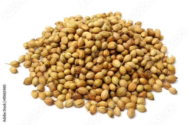 Obraz Coriander seeds