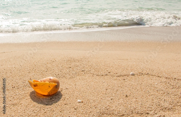 Obraz Conch shell on beach with waves.