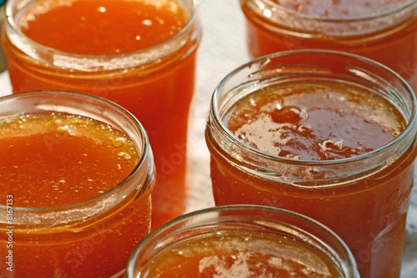 Fototapeta Confiture d'abricots