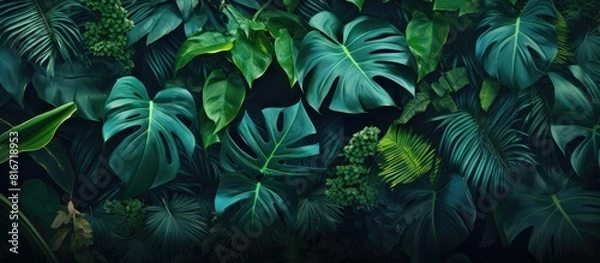 Obraz A nature themed wallpaper with tropical leaves texture and floral background providing a 21 9 copy space image for text advertising or any other content