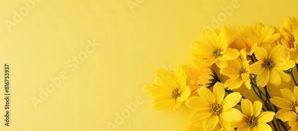 Fototapeta Bright yellow flowers arranged specifically for Mothers Day with a copy space image available