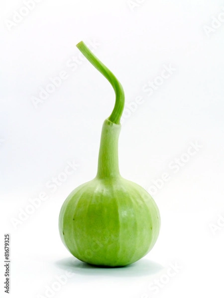 Fototapeta The green gourds on a white background.