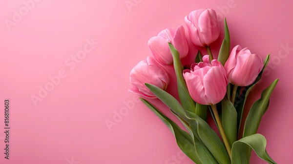 Fototapeta Valentine's Day, Happy Women's Day, Mother's Day. Flat lay, top view with Beautiful composition spring flowers bouquet of pink tulips flowers on pastel pink background