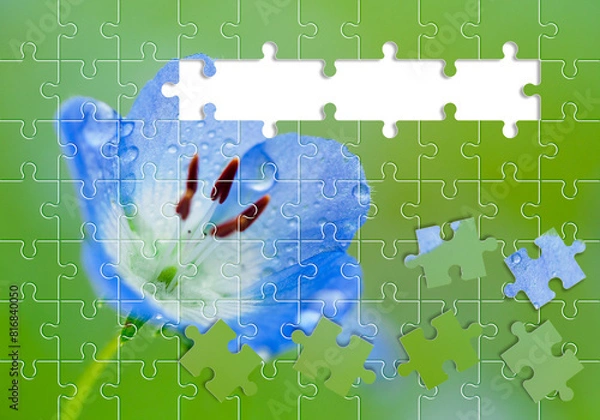 Obraz ジグソーパズル調　ネモフィラ　花びら　イメージ素材