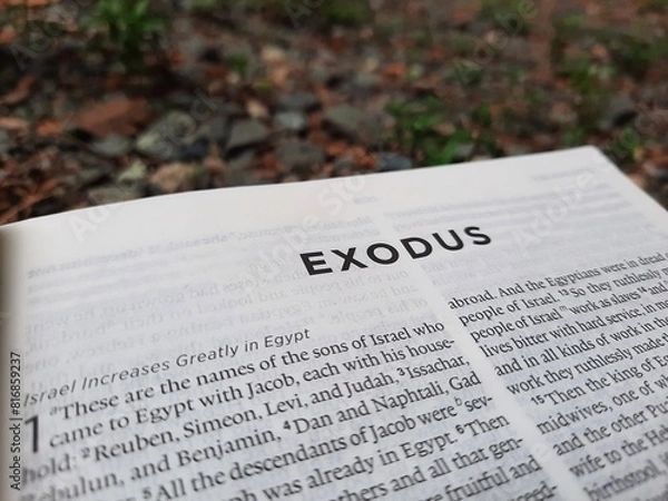 Obraz close up of a bible page