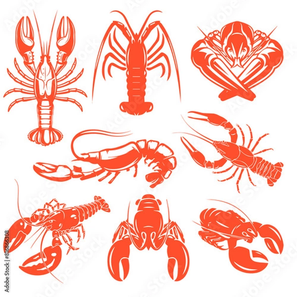 Obraz Set of vector crawfish illustrations drawn, Splattered seafood concept on white background.