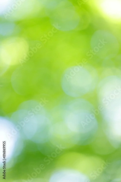 Obraz 木漏れ日の背景素材